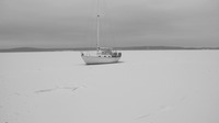 IMG_0516